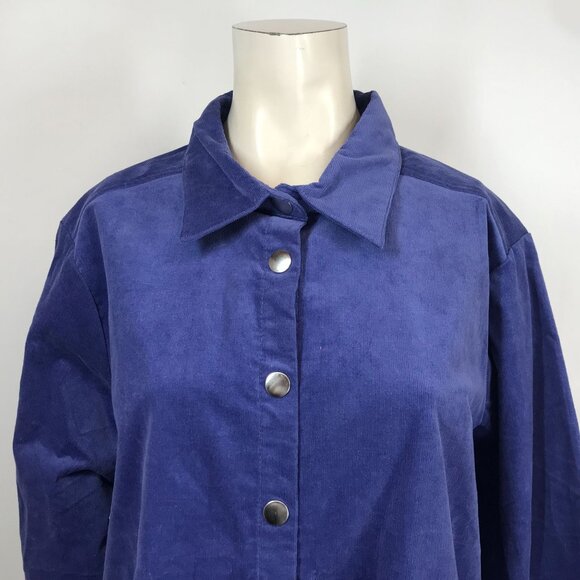 APPLESEED'S - WOMENS PETITE XL -BLUE LONG SLEEVE BUTTON COLLARED SHIRT - Picture 2 of 9